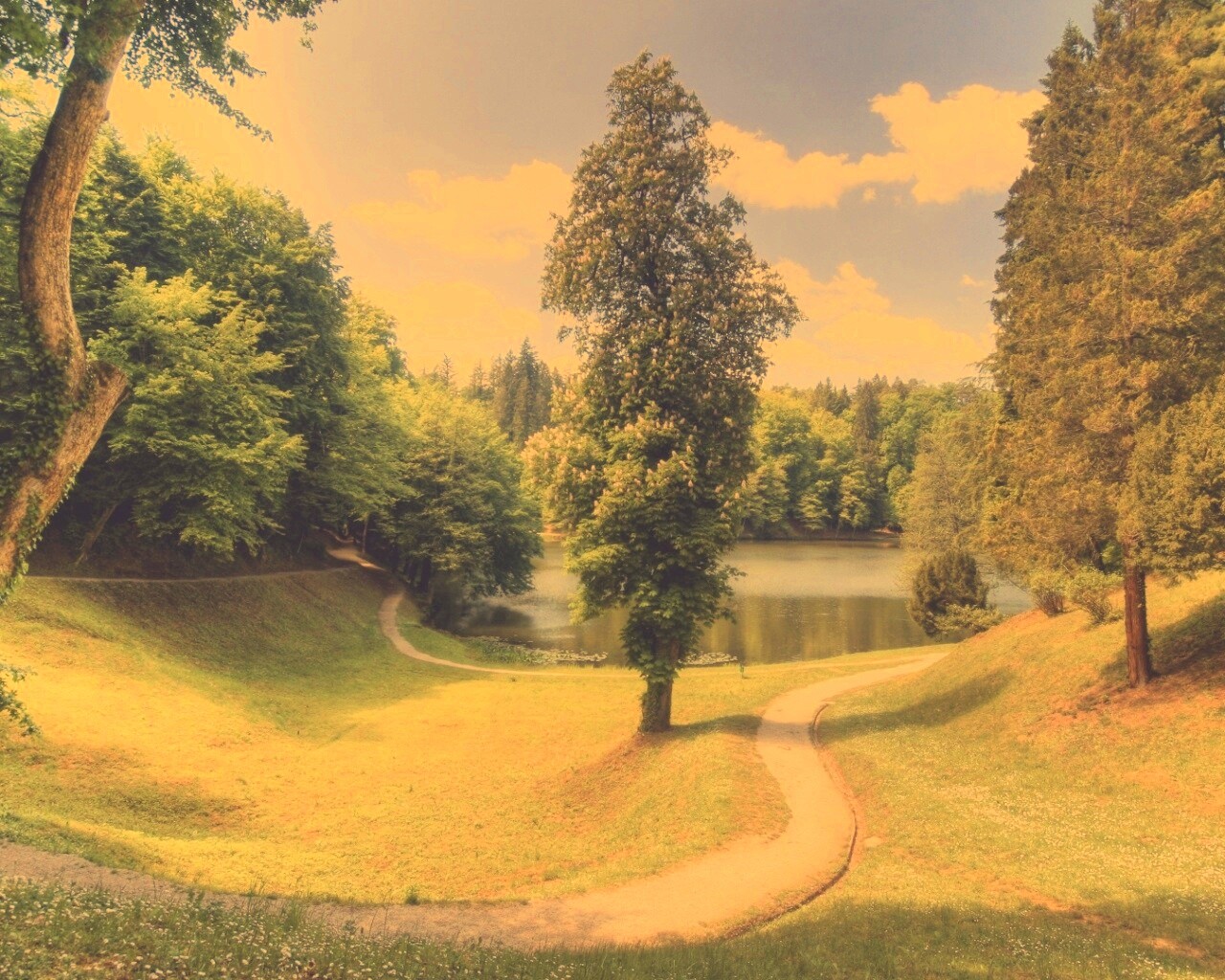 Прекрасная природа обои