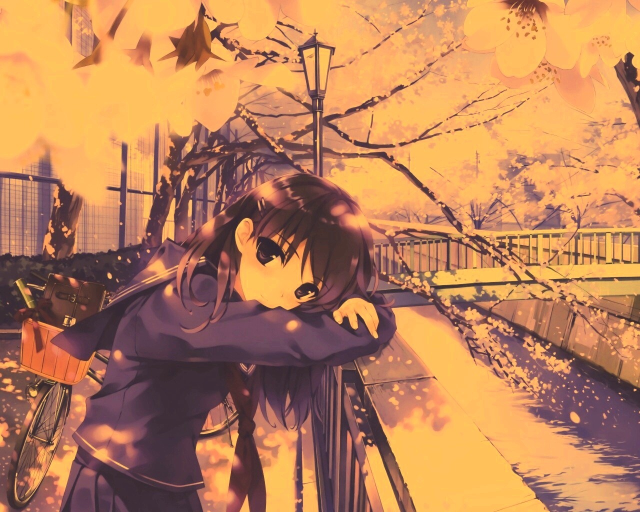 Девушка среди лепестков сакуры обои