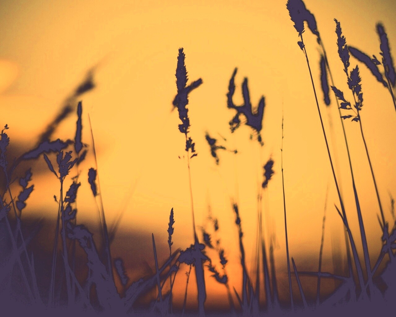 Дыхание природы обои