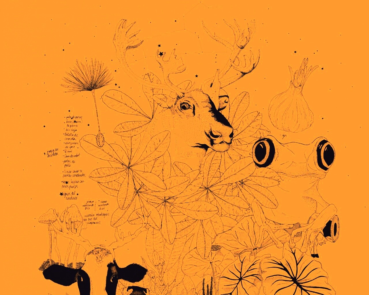 Животные на рабочий стол Apple обои