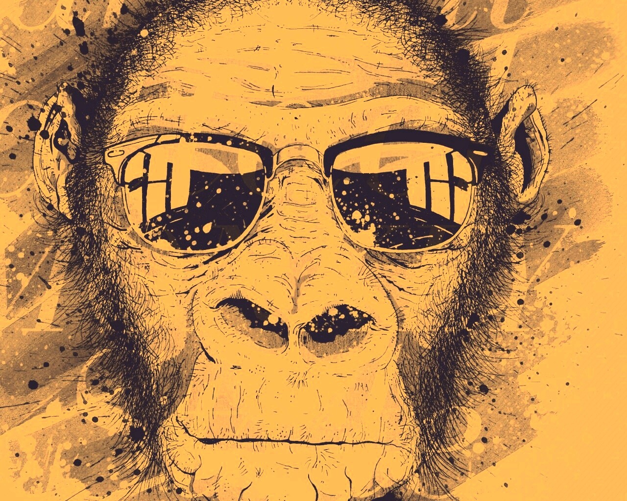 Макака в очках обои