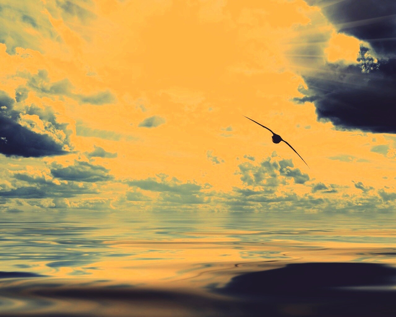 Лети как птица над волнами обои