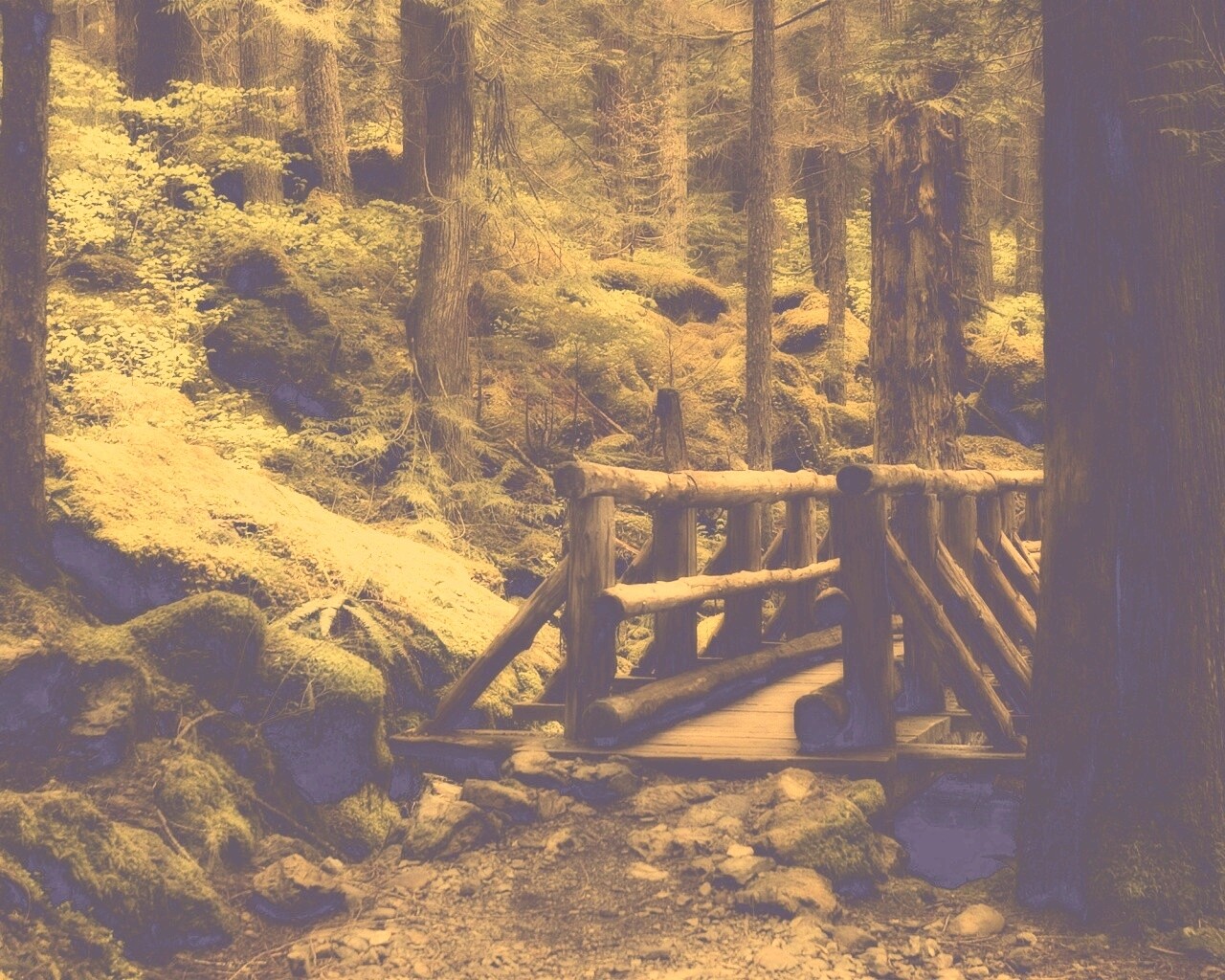 Бревенчатый мост в лесу обои