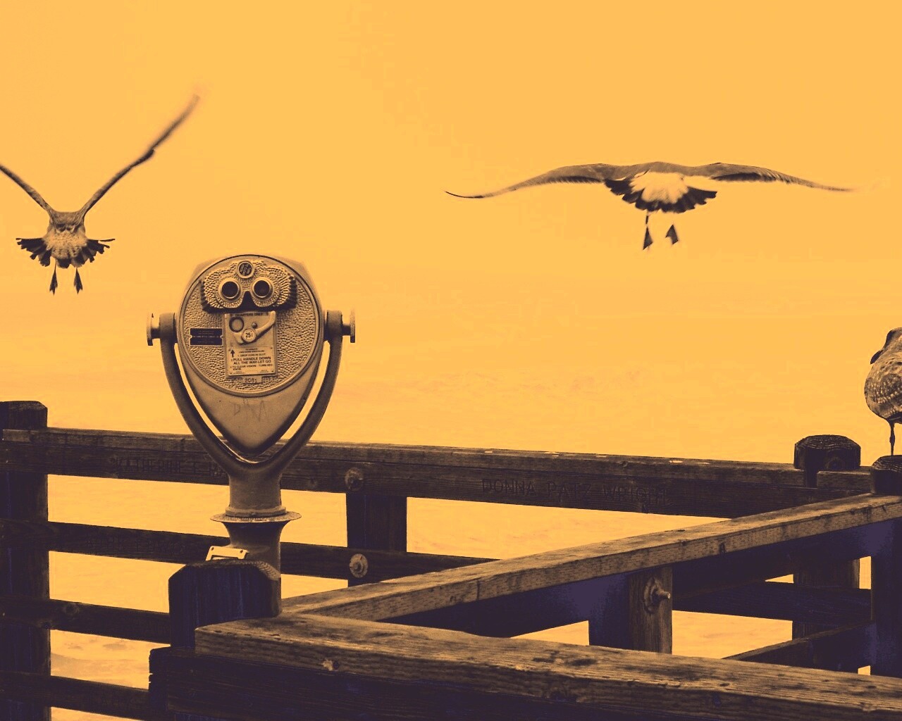 Чайки на перилах пирса обои