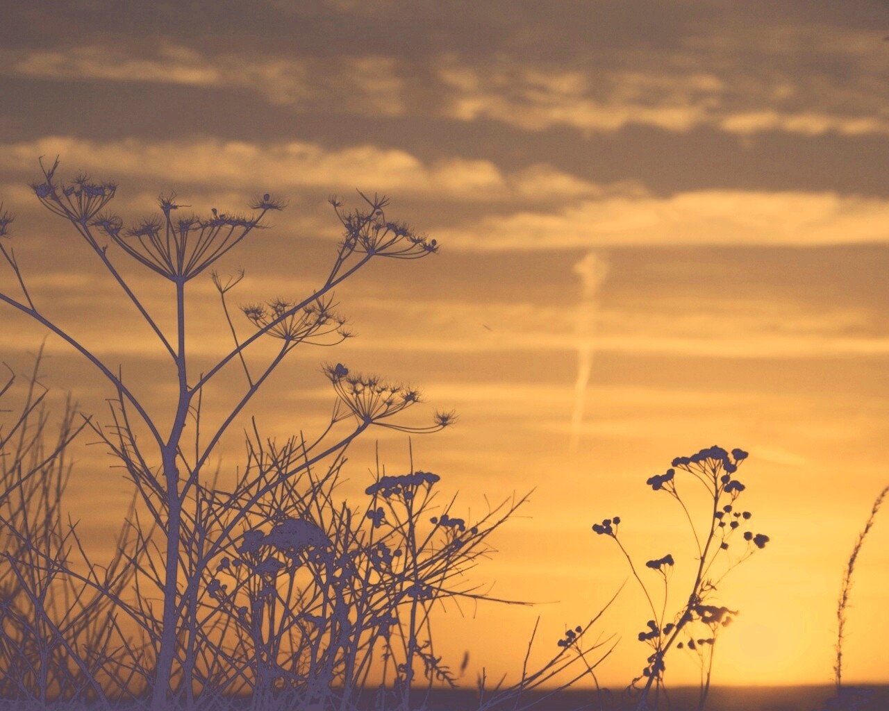 Степной закат обои