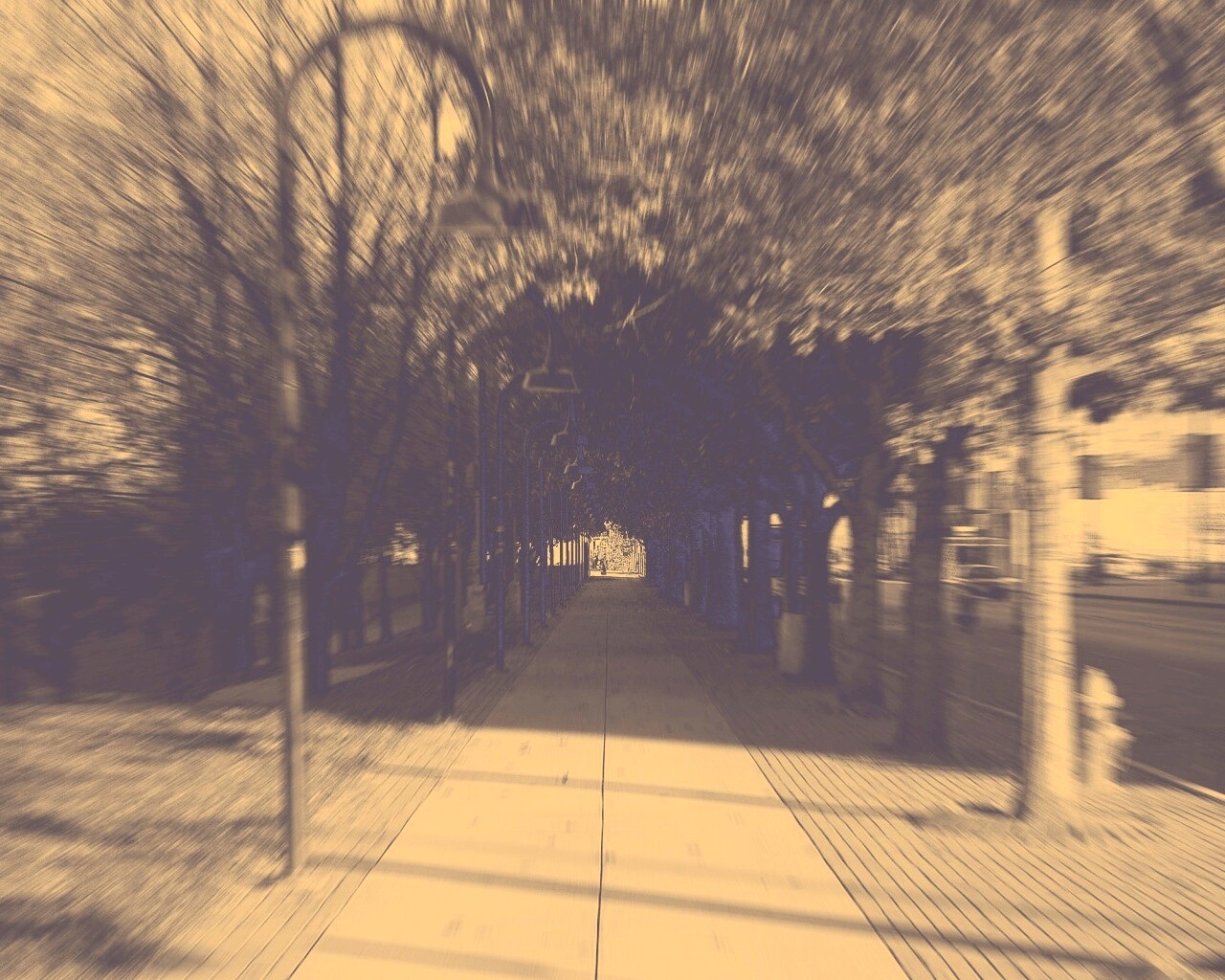 В парке обои