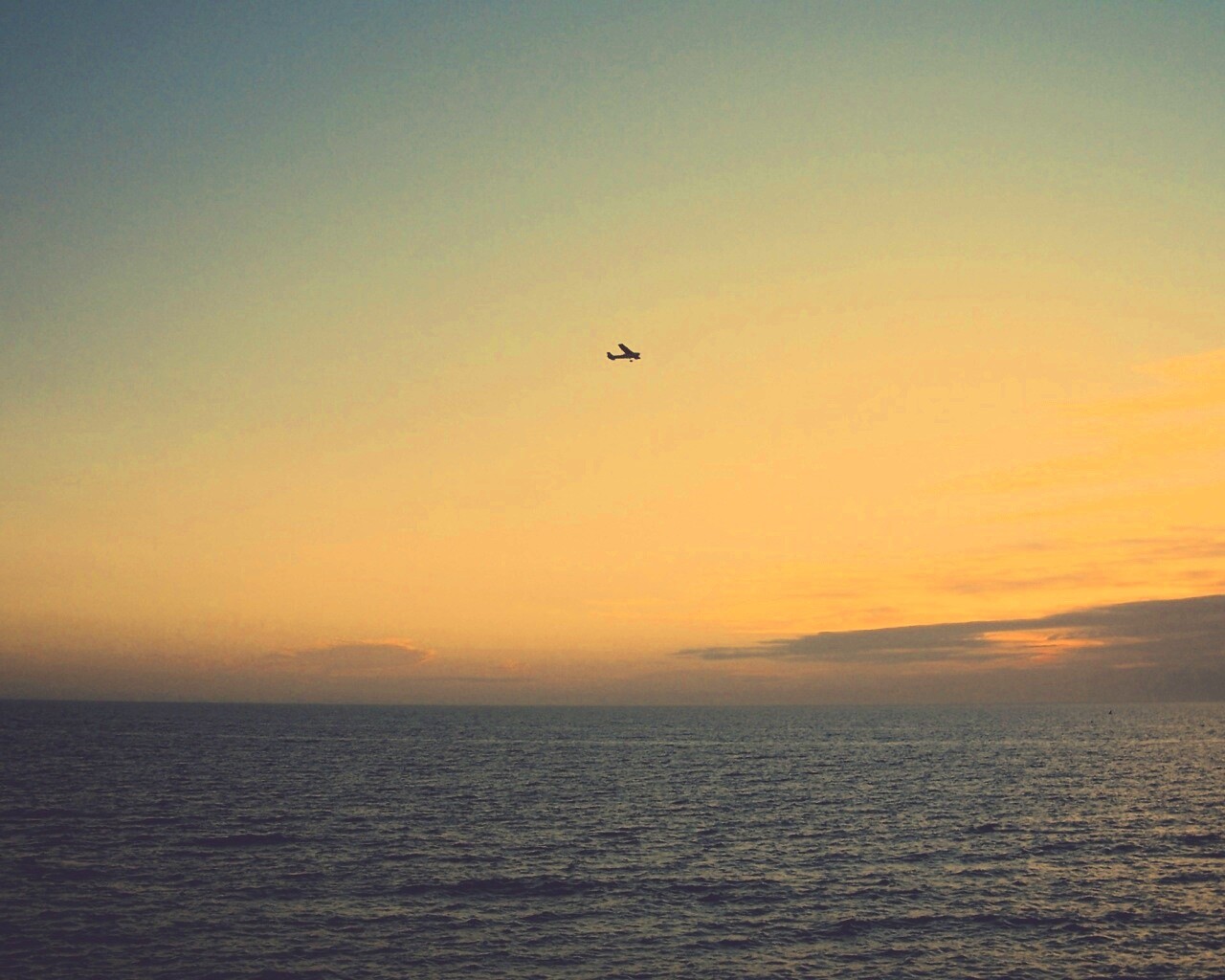 Паращий над морем обои