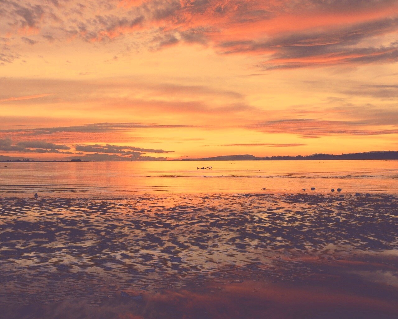 Прекрасный рассвет обои