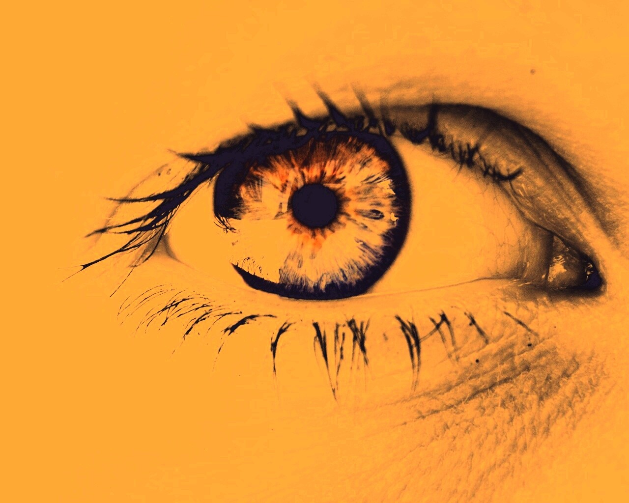 Широко раскрытые глаза обои