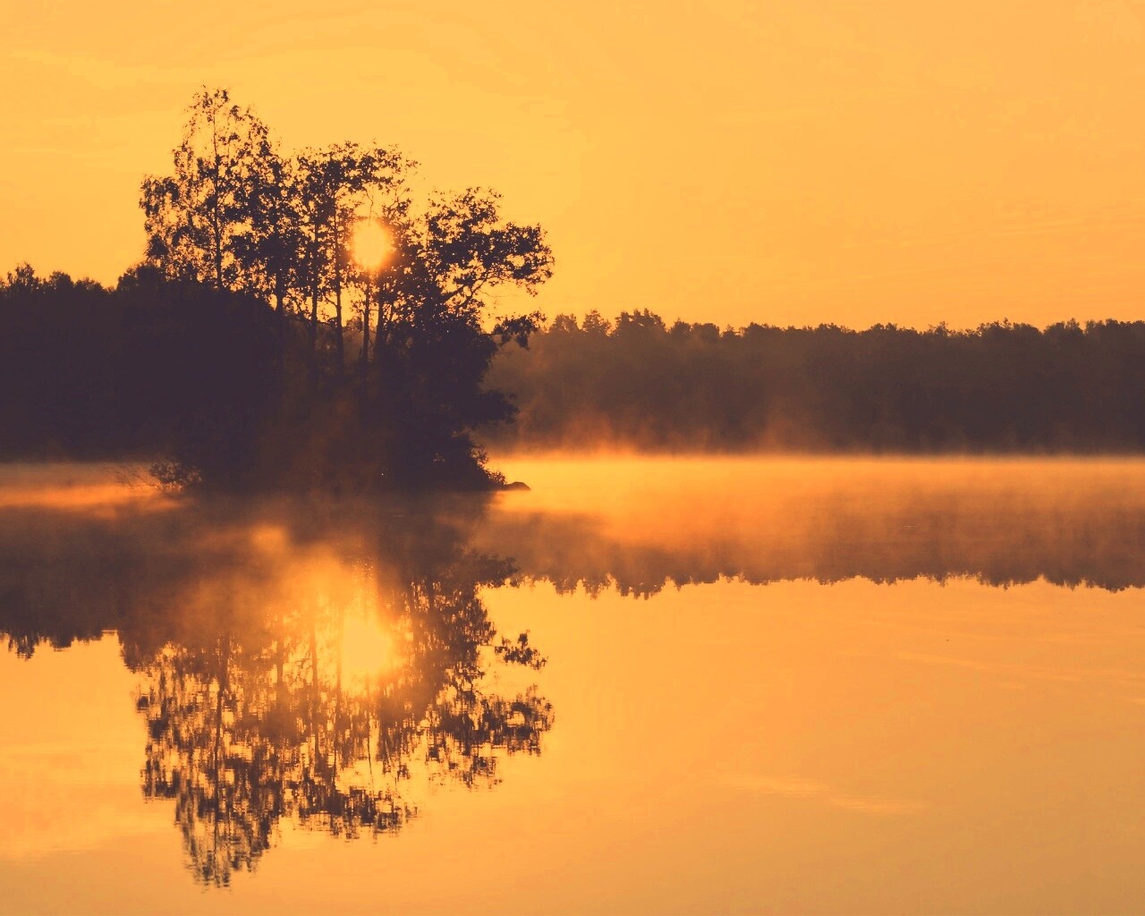 Туманное утро обои