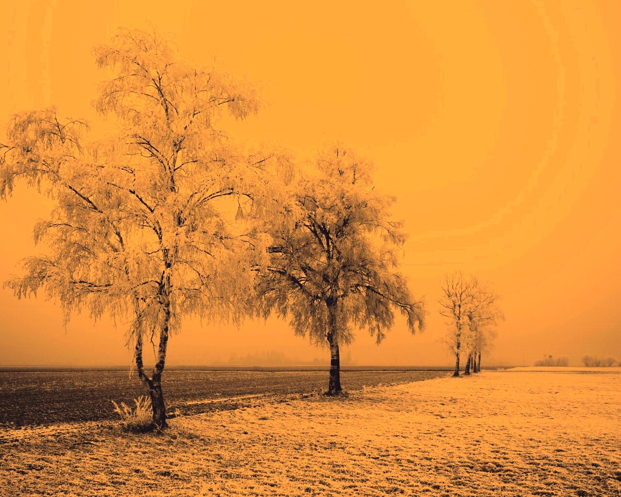 Первый снег обои