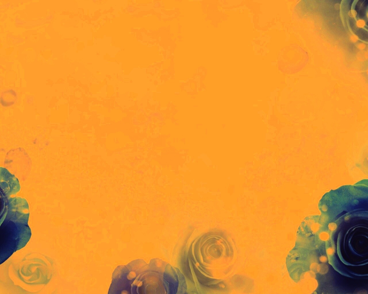 Синие розы обои