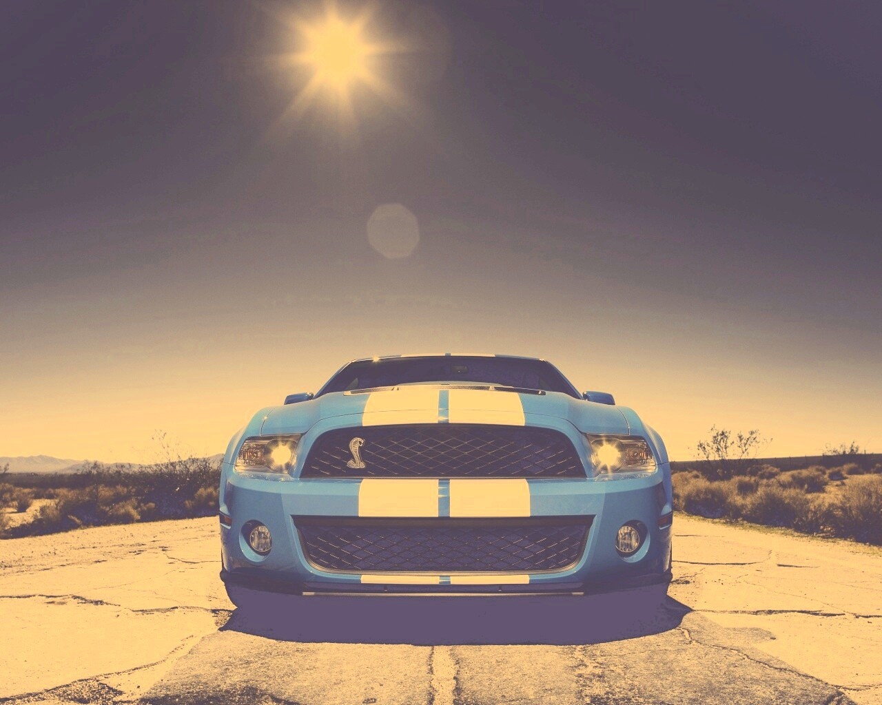 Форд Шелби обои