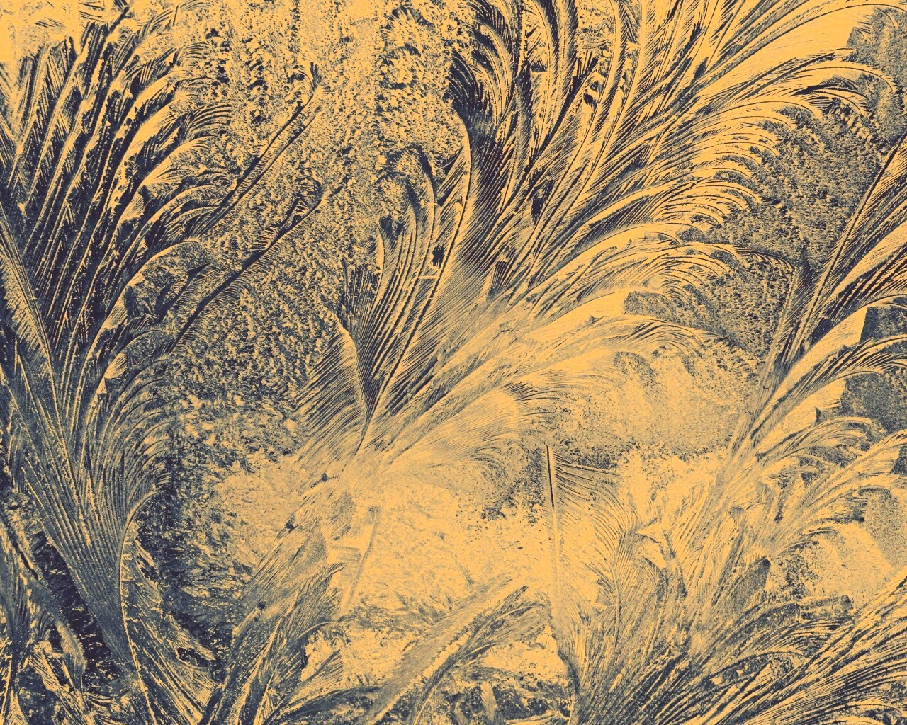 Зимние узоры обои