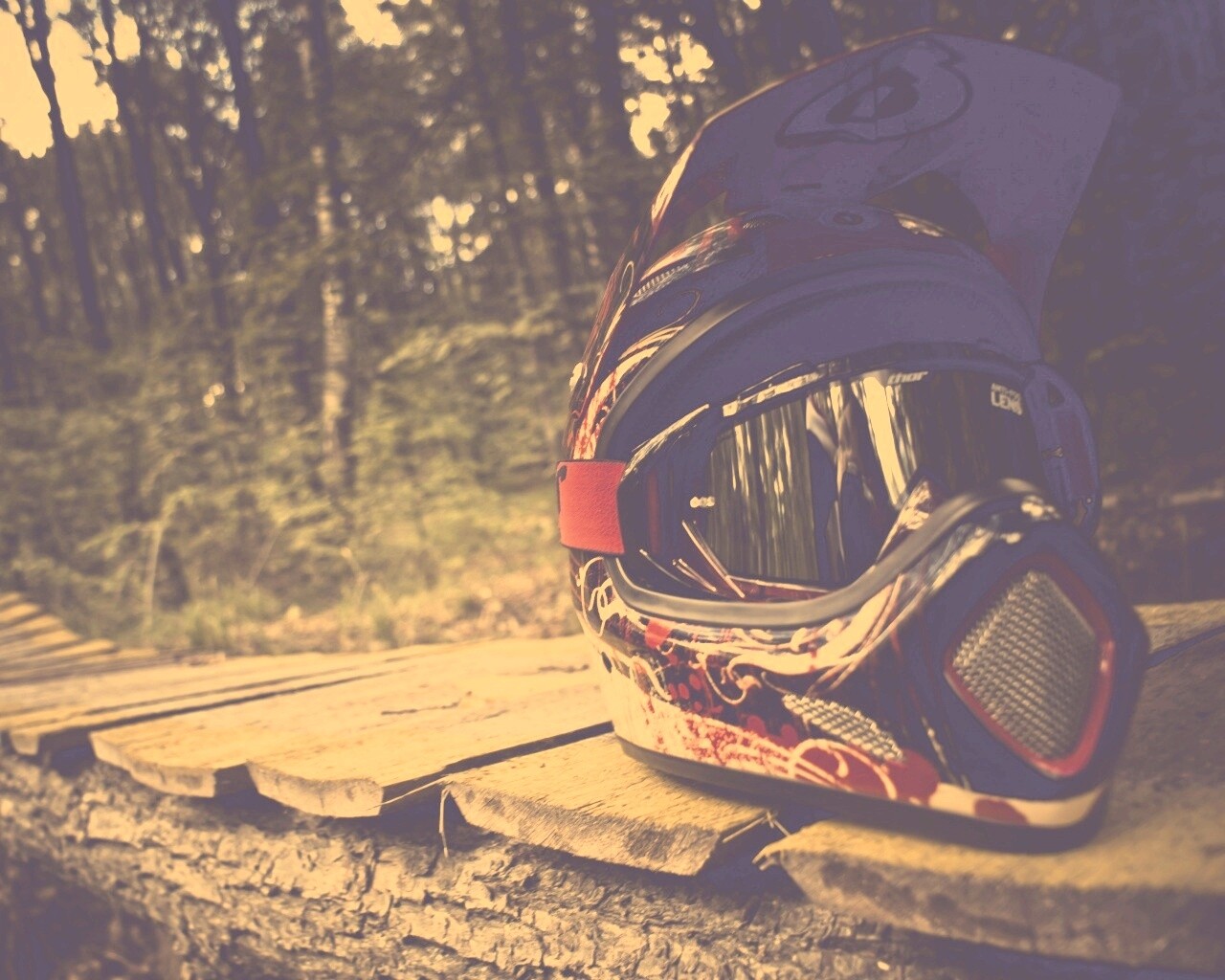 Шлем на лесной велотрассе обои