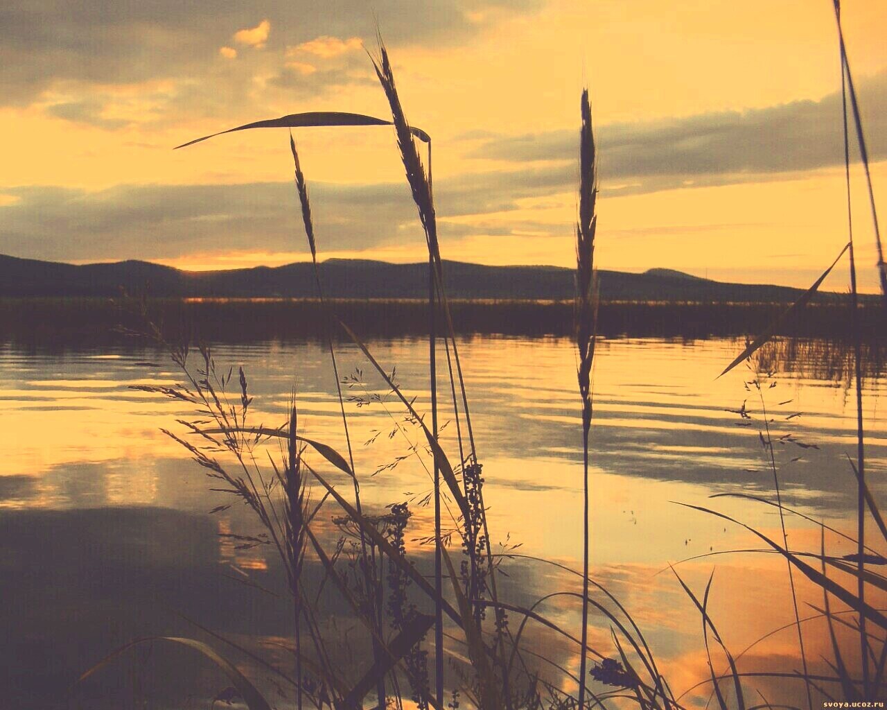 Закат на озере обои