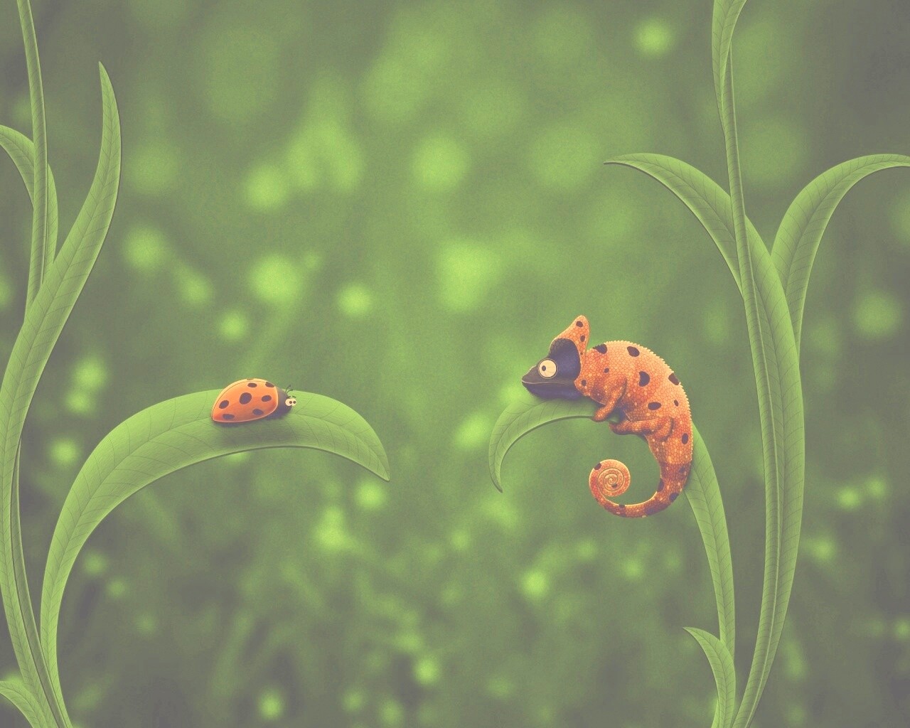 Хамелеон  замаскированный под божью коровку обои