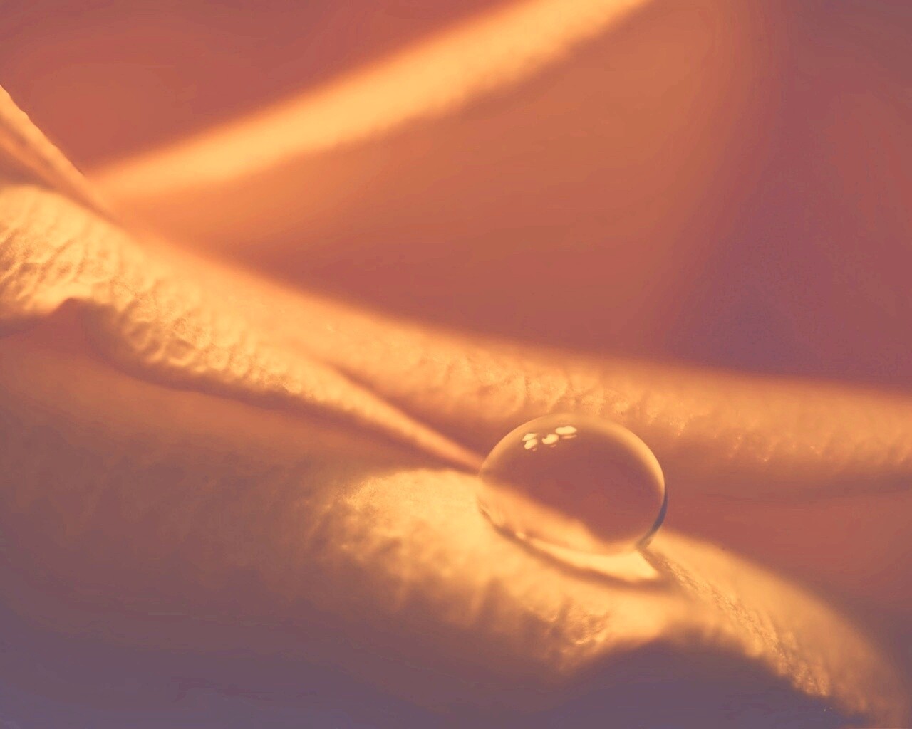 Капелька обои