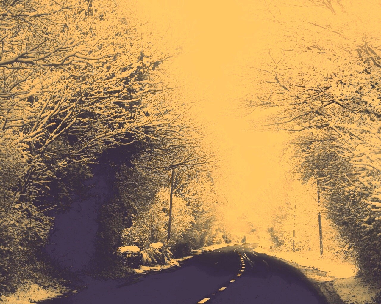 Дорога через зимний лес обои