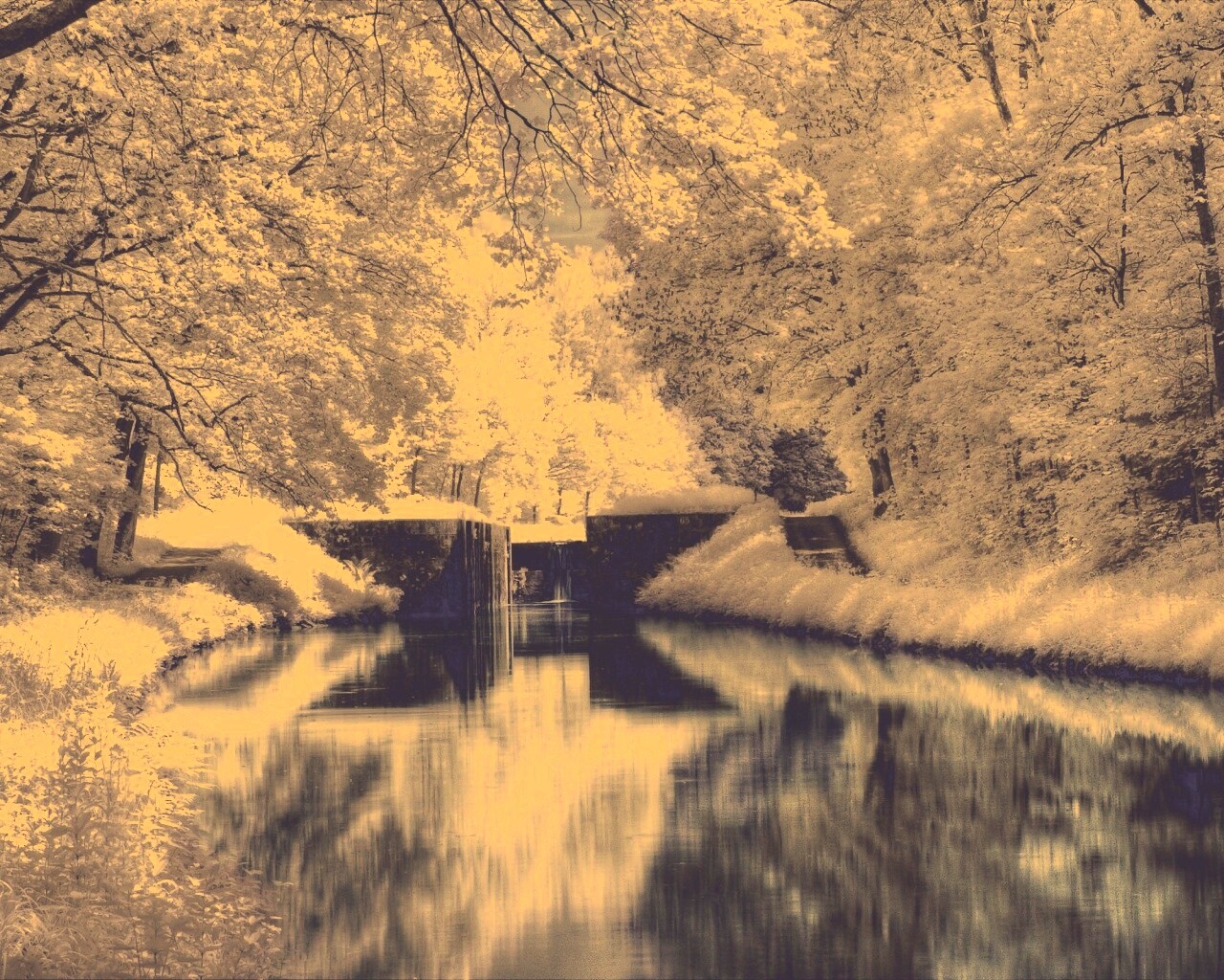 Замёрзжий канал обои