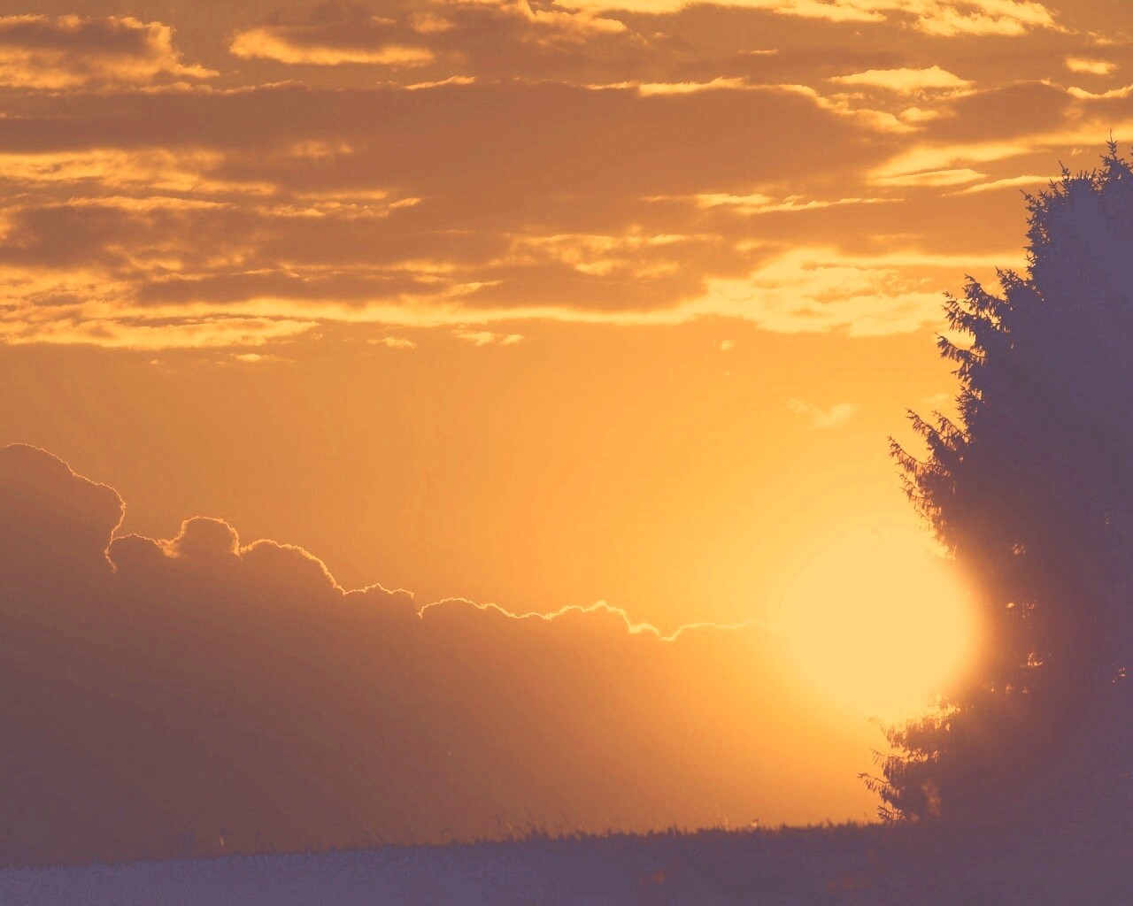 Теплый закат над полем обои