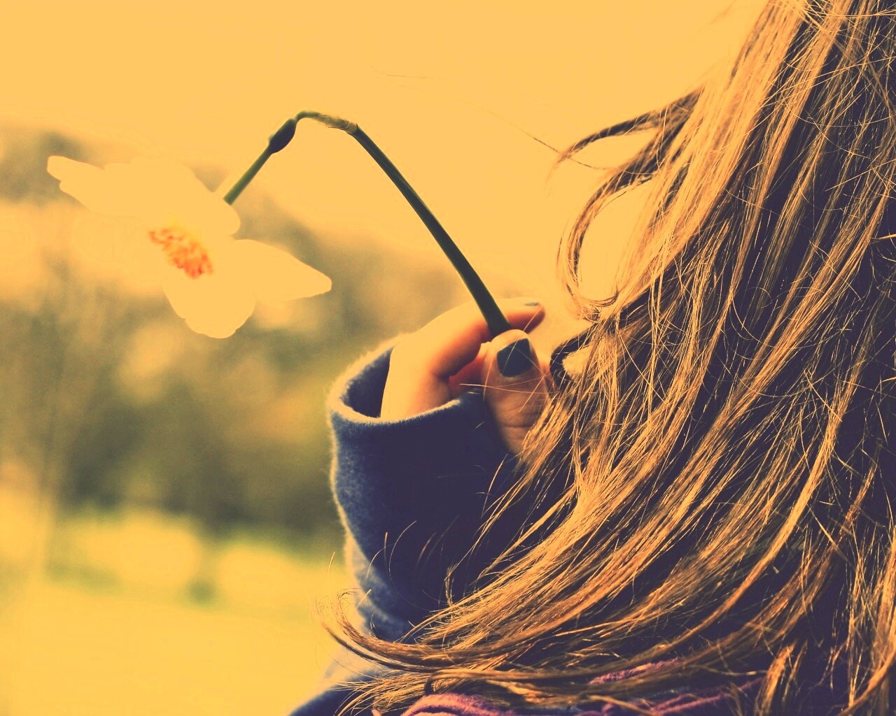 Девушка с нарциссом в руке обои