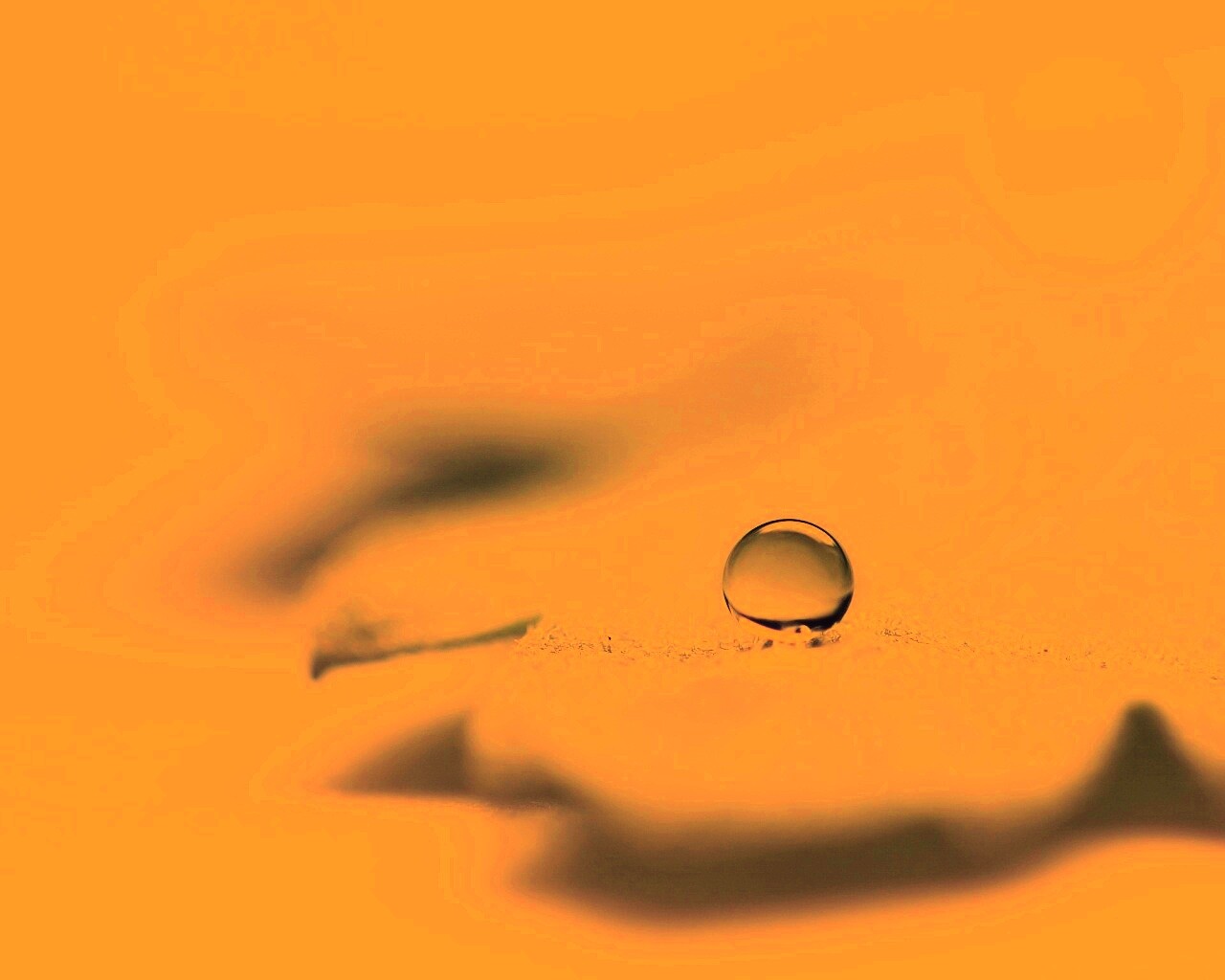 Капля на замёрзжем листе обои