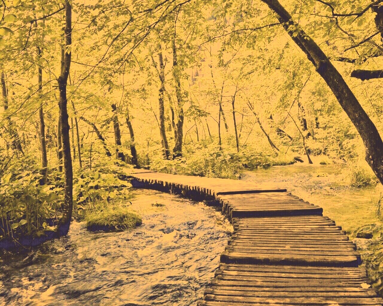 Тропинка над водой обои