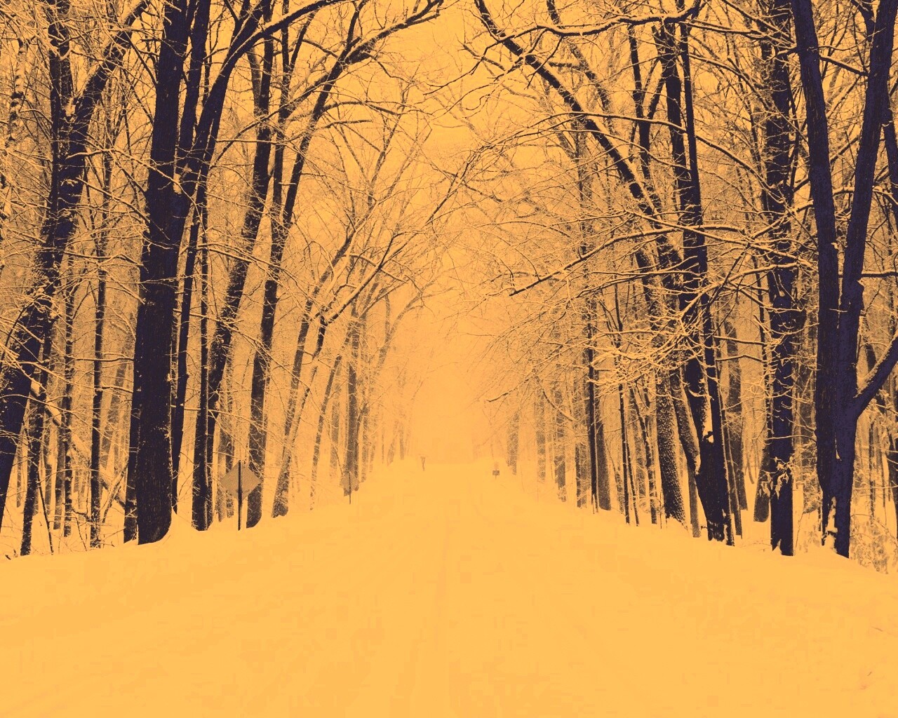 Дорога зимой в парке обои