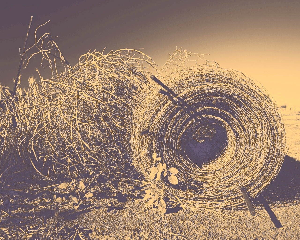 Клубок сена обои
