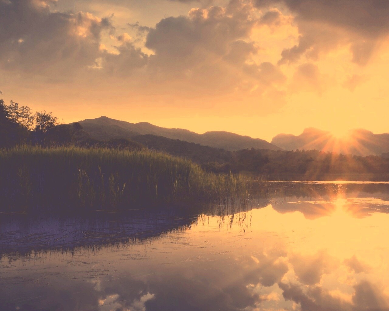 Закат за лесом обои