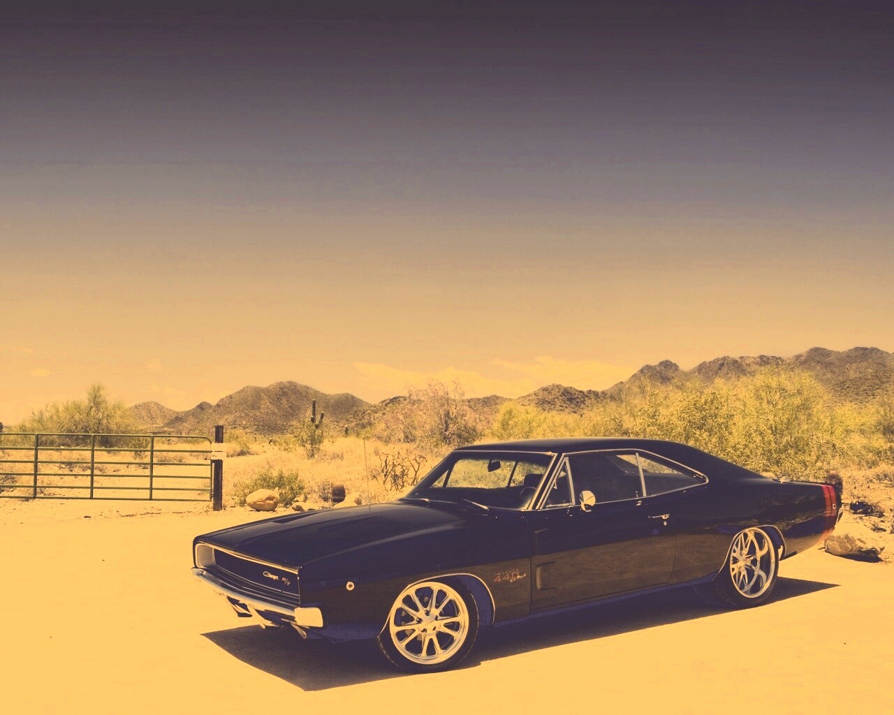 Мускулкар под палящим солнцем обои