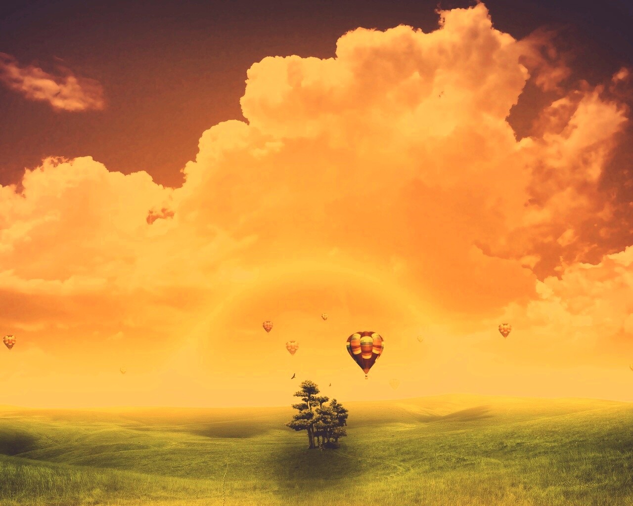 Мечты о полёте обои