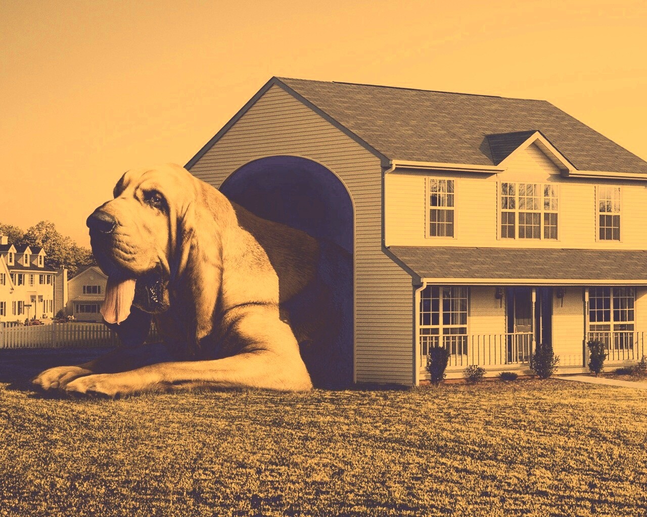 Действительно большая собака обои