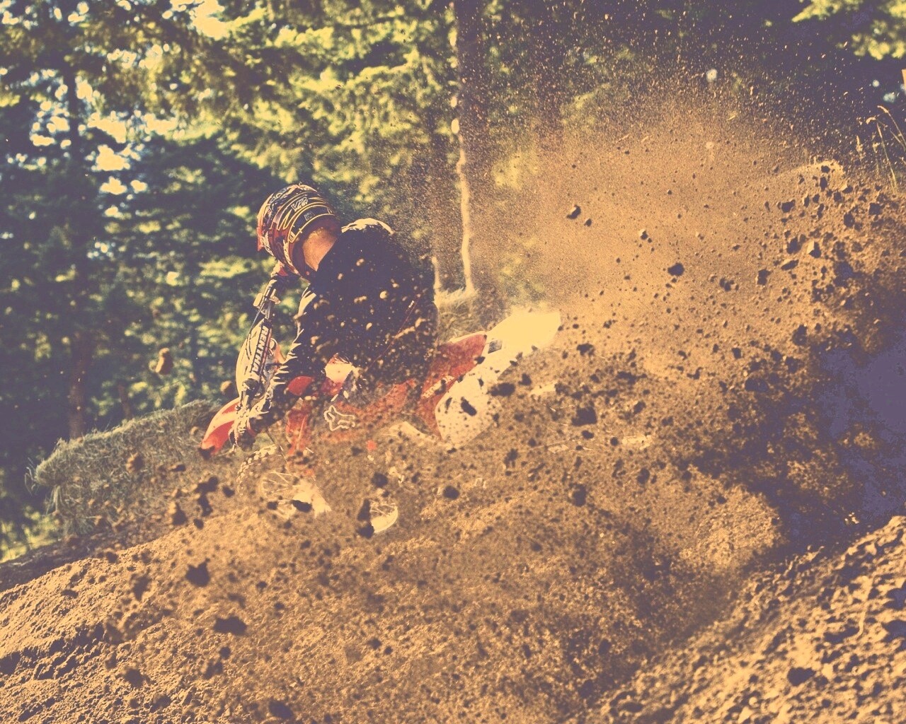 Моторалли обои