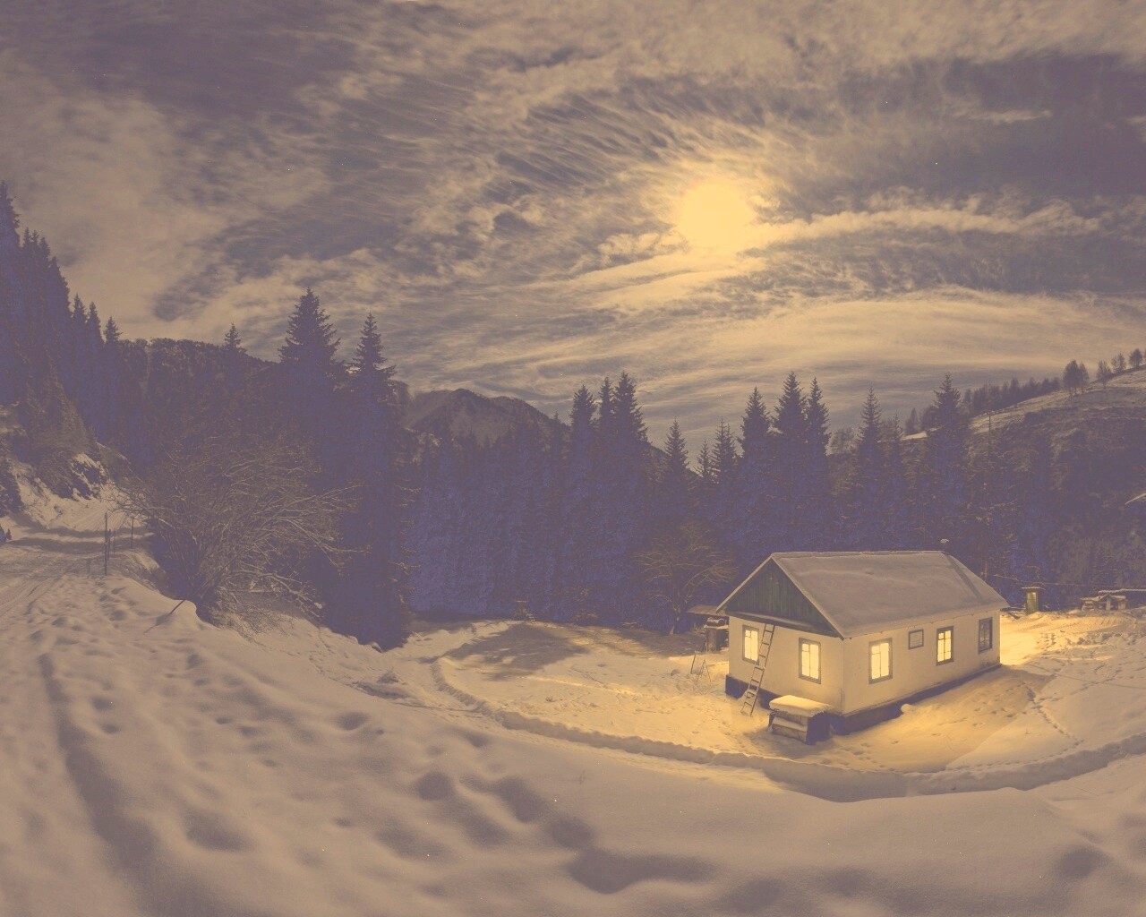 Один в зимнем лесу обои