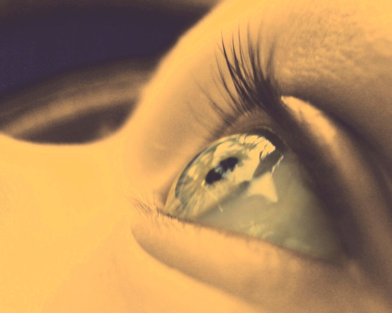 Ясный взгляд младенца обои