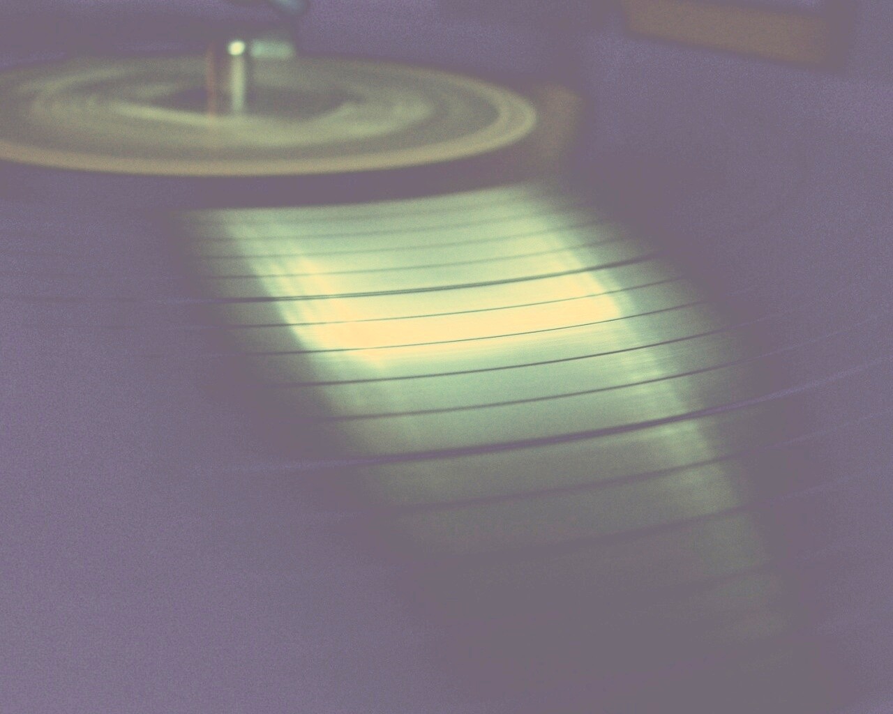 Пластинка обои