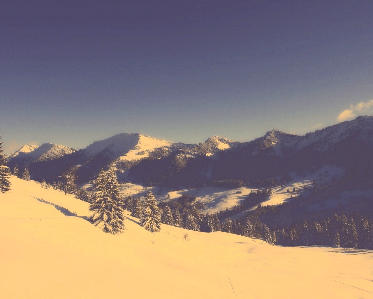 Лес в горах обои