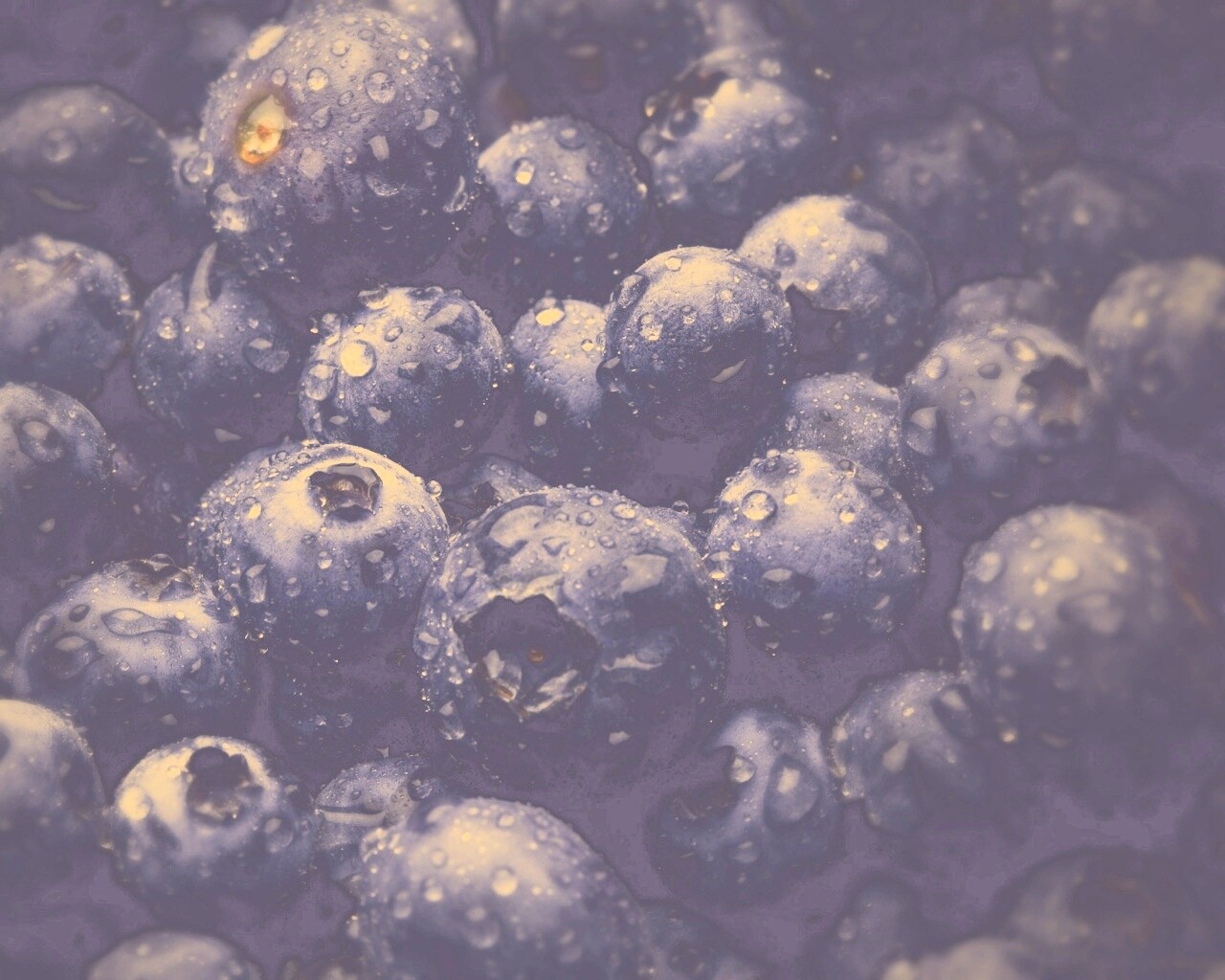 Свежая черника обои