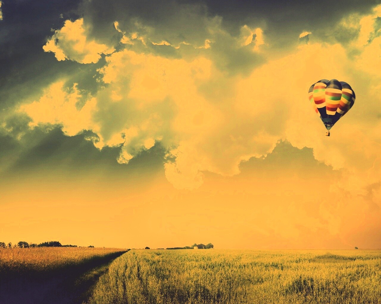 Воздушный шар над зеленым лугом обои