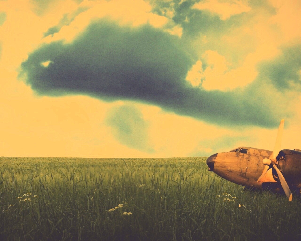 Старый ржавый самолет на лугу обои