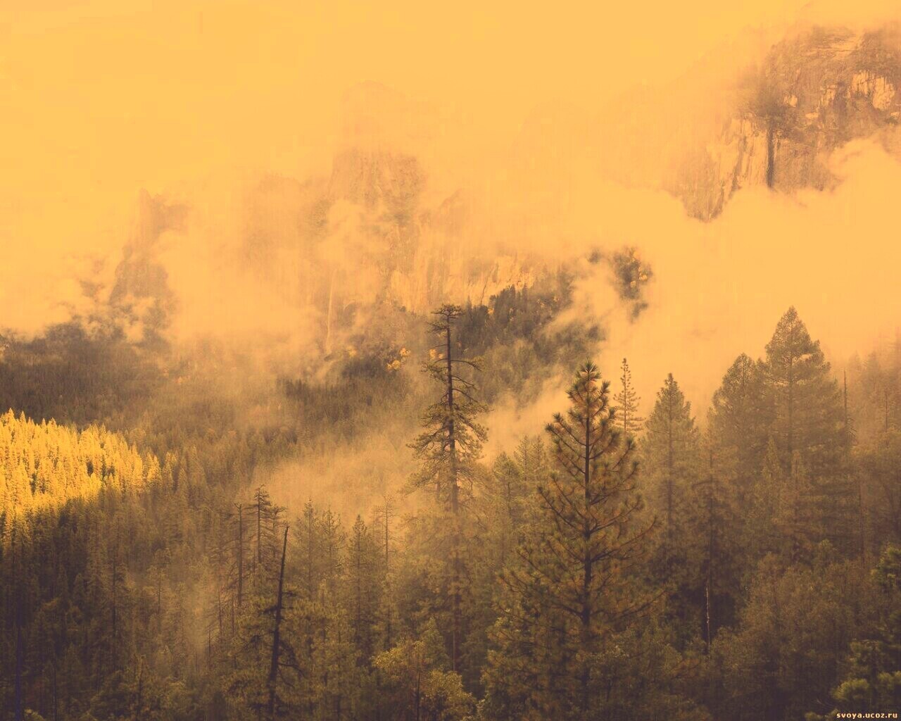 Туман в горах обои