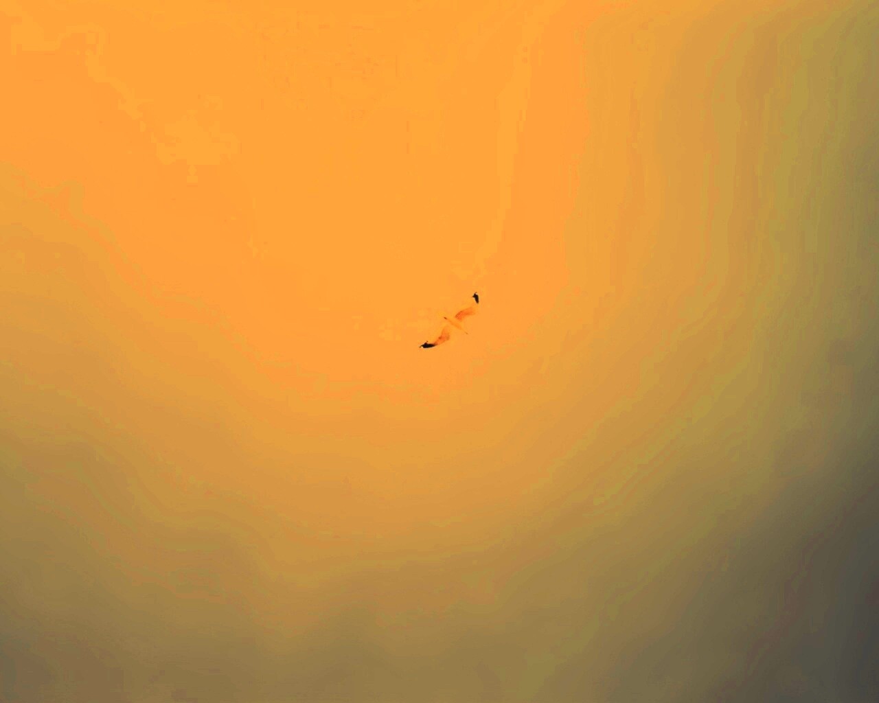 Полет  обои