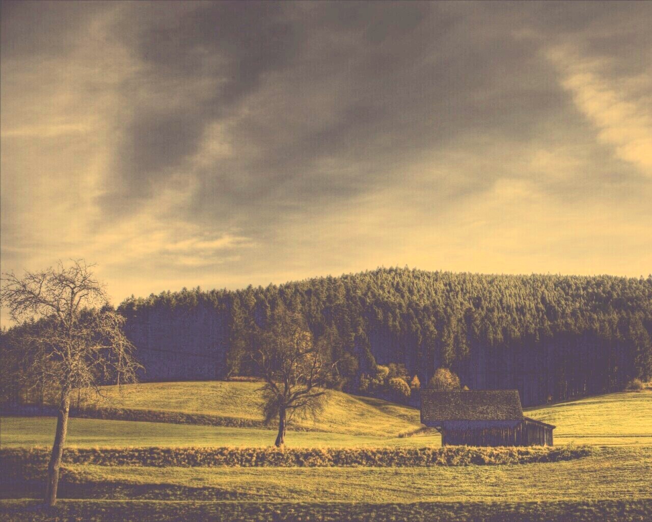 Домик в поле обои