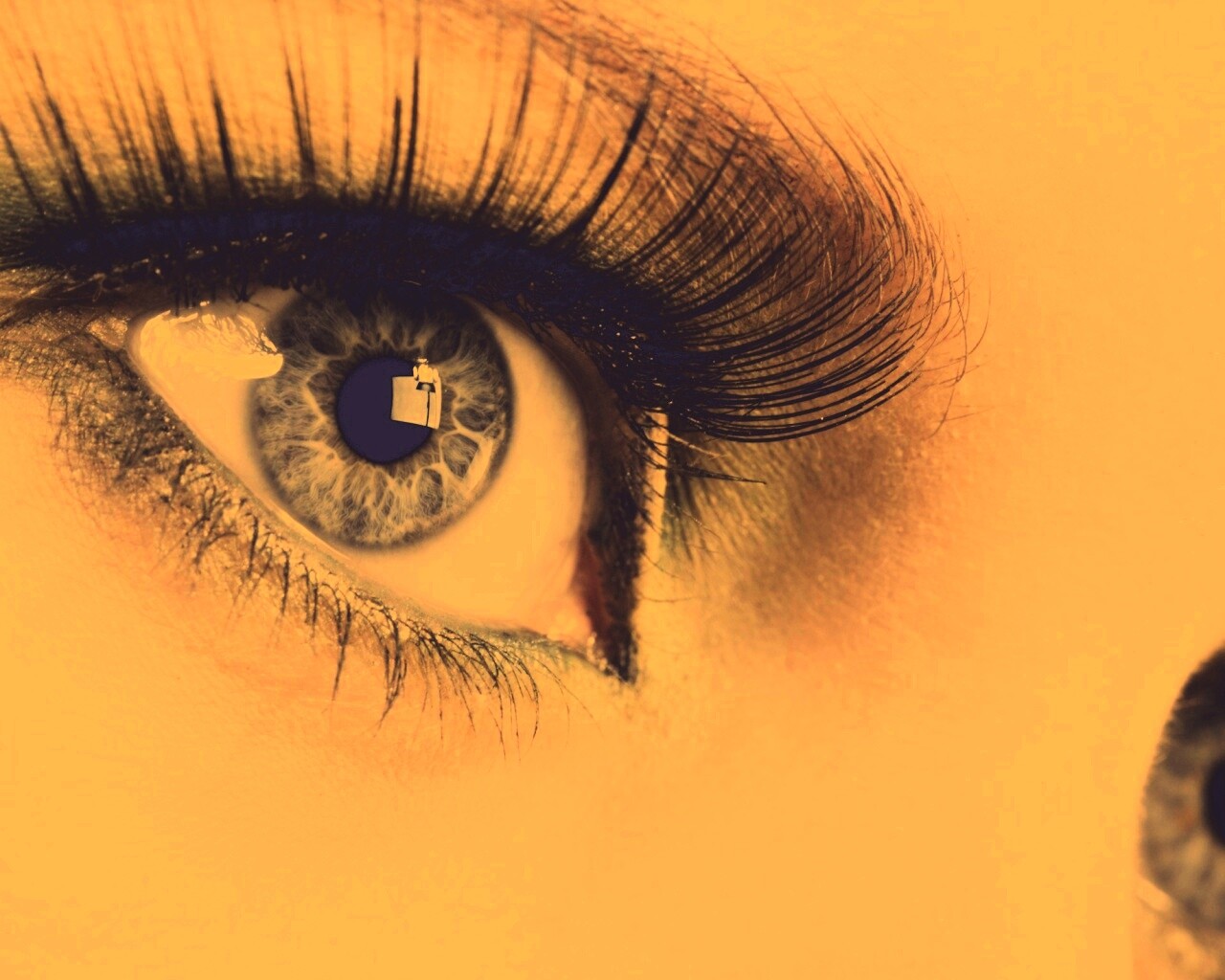 Глаза цвета стали обои