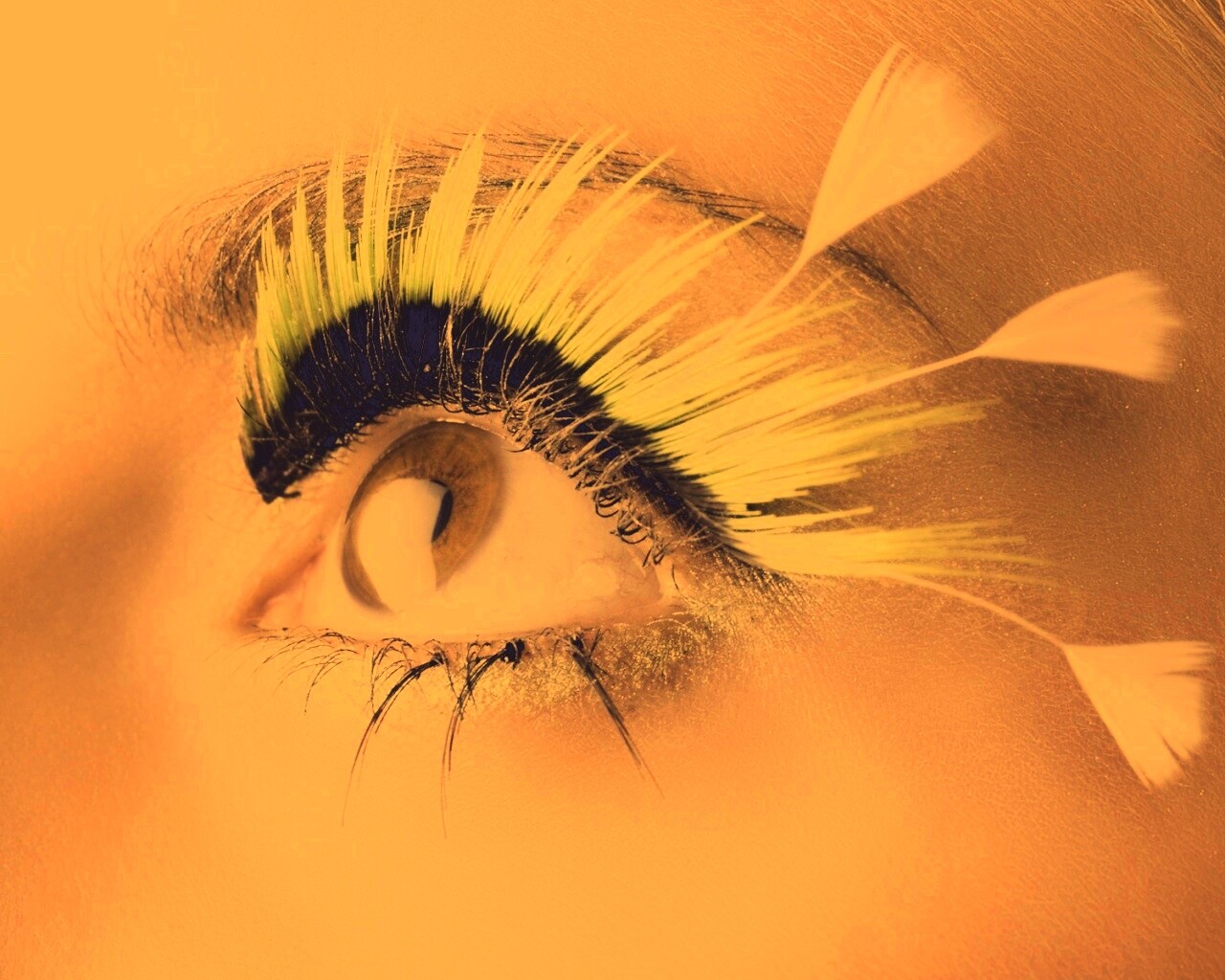Красивые ресницы обои