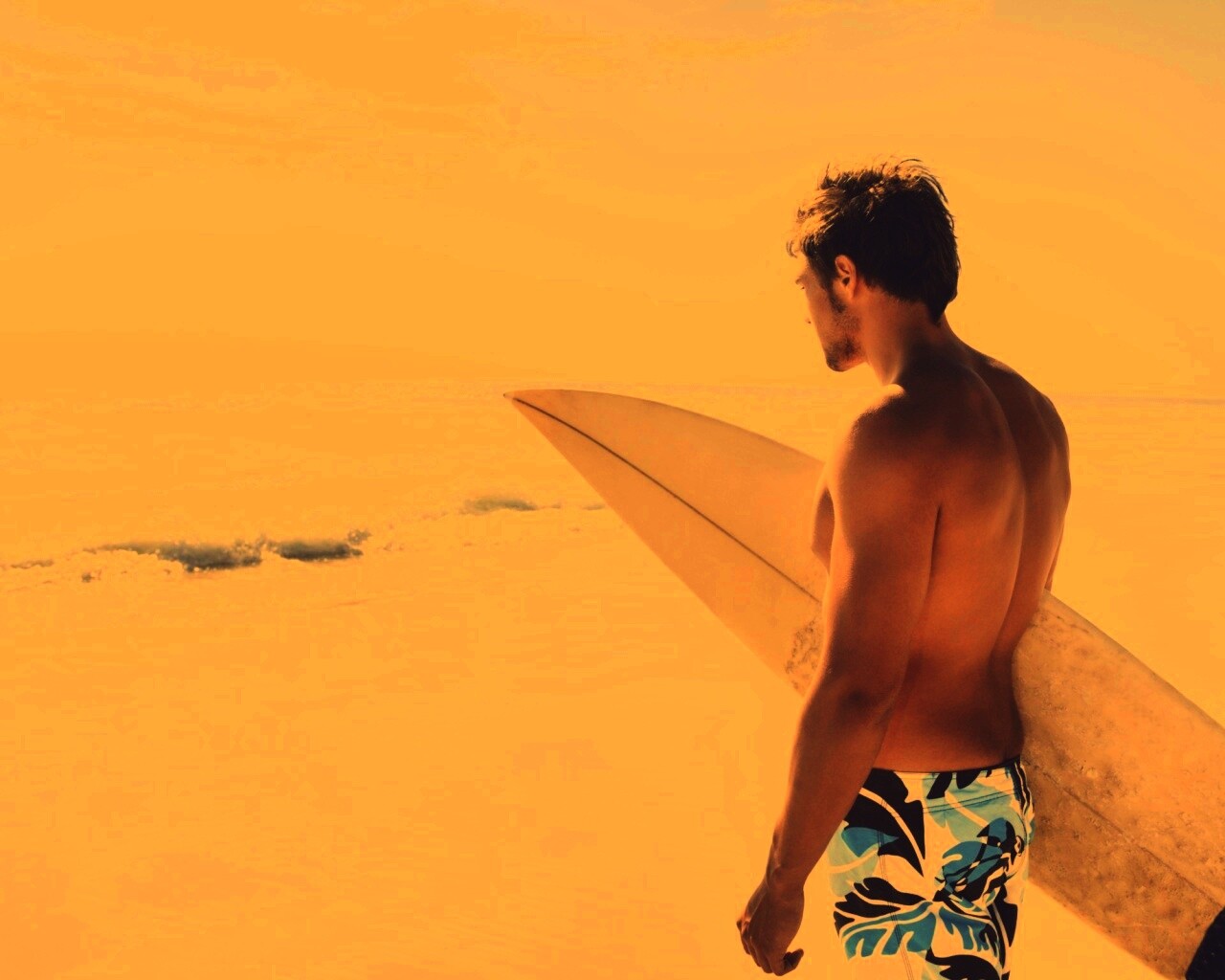 Собирается оседлать волну обои