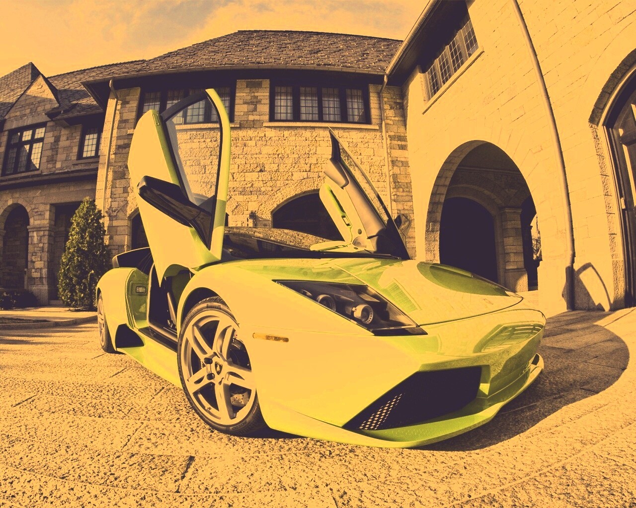 Зеленая ламба обои