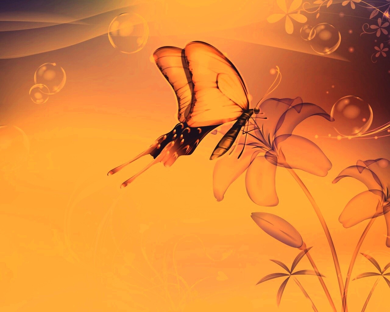 Сказочная бабочка обои